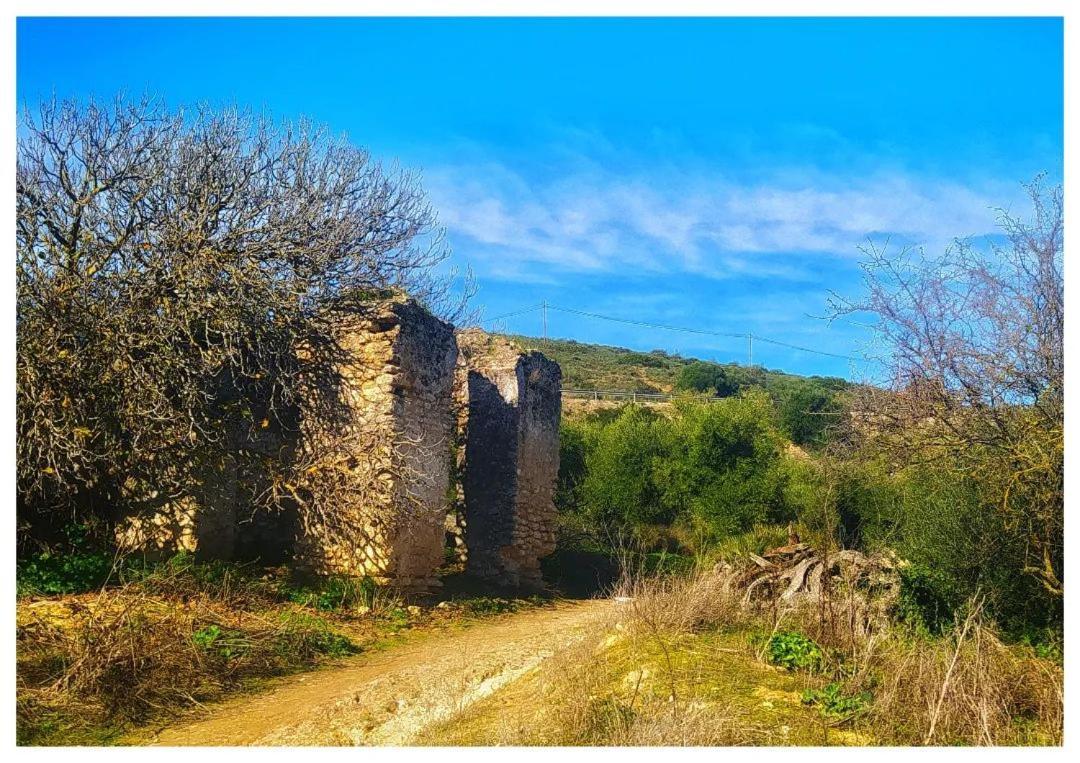 Hostal La Parada Bornos Zewnętrze zdjęcie